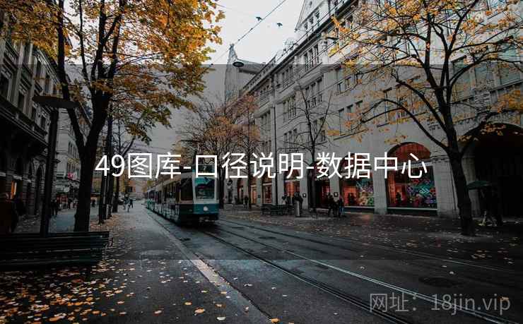 49图库-口径说明-数据中心